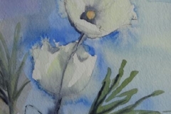 Anemone, Aquarell 14 x 19 cm