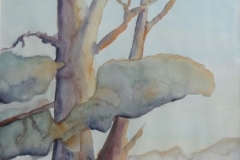 Bäume, Aquarell 40 x 30 cm