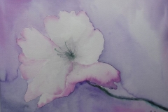 Blütenzauber, Aquarell 40 x 30 cm