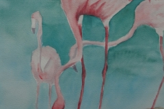 Flamingos, Aquarell 40 x 30 cm