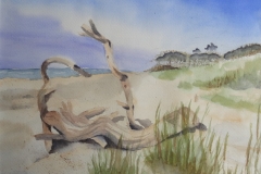 Treibholz, Aquarell 40 x 30 cm