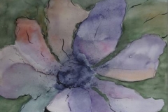 Clematis, Aquarell 40 x 30 cm