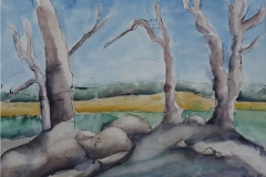 Felsen, Aquarell & Tusche 38 x 29 cm